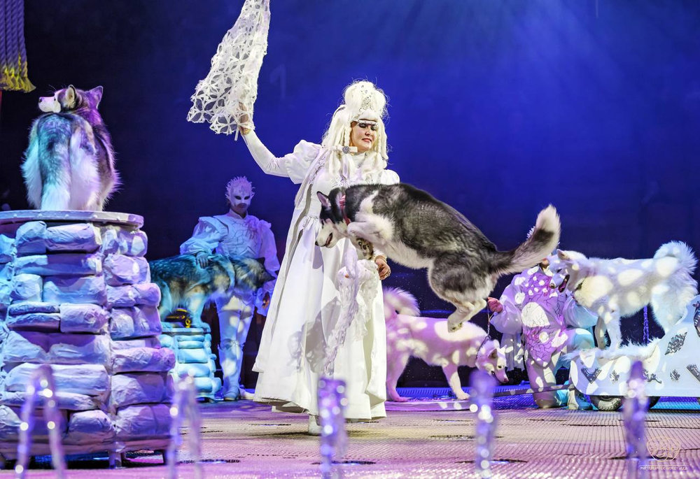 Фото: circus-sochi.ru
