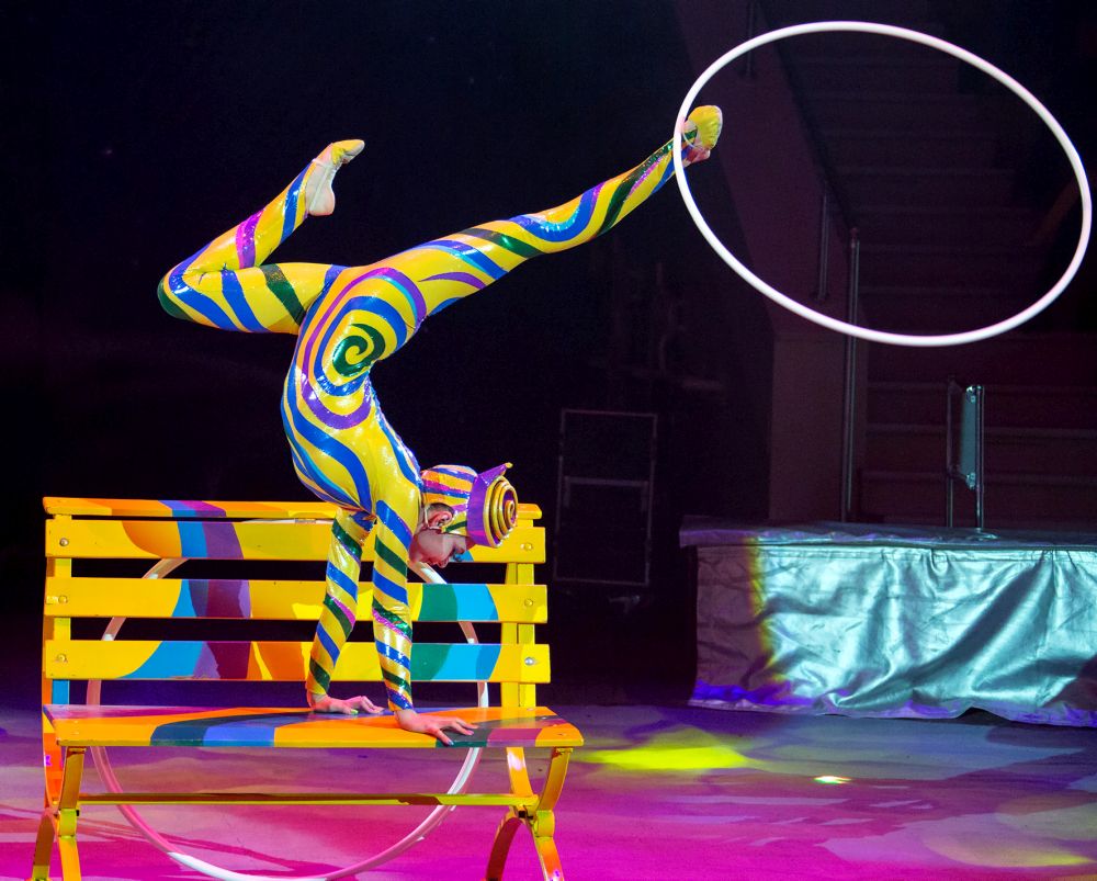 Шоу матрешка цирк. Цирковая студия Госцирка Удмуртии. Цирк. В цирке представление. Цирковое представление для детей.