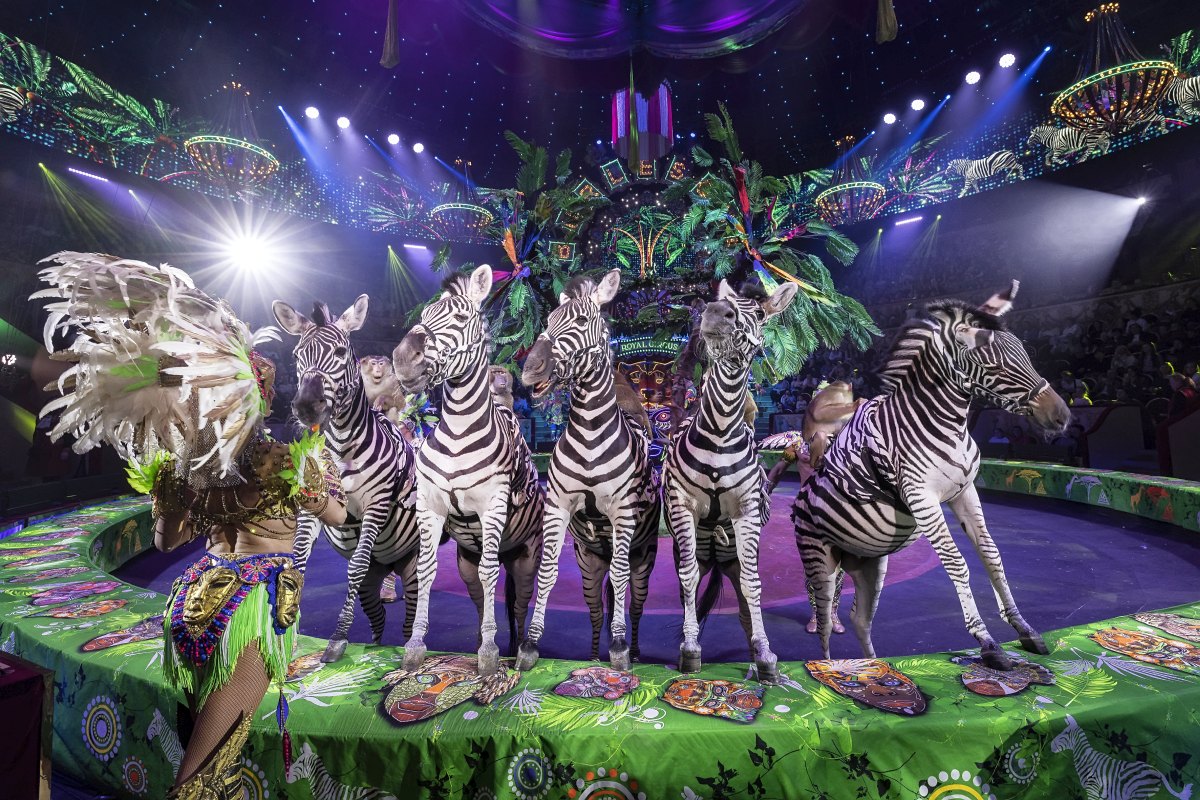 Фото: circus-sochi.ru