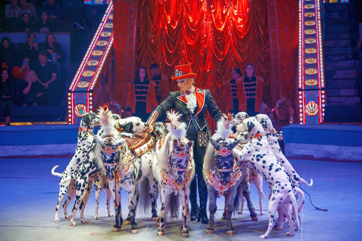 Фото: circus-sochi.ru
