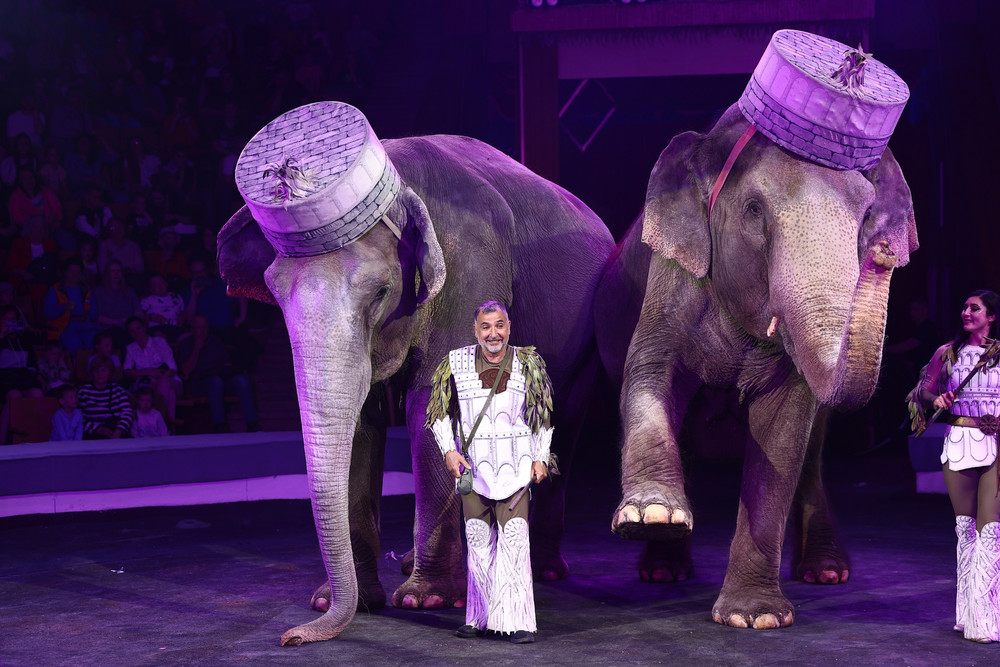 Фото: circus-sochi.ru