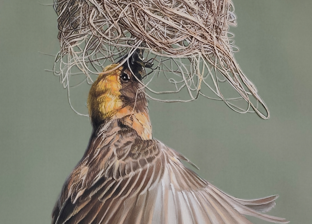 Фото: sochiartmuseum.art