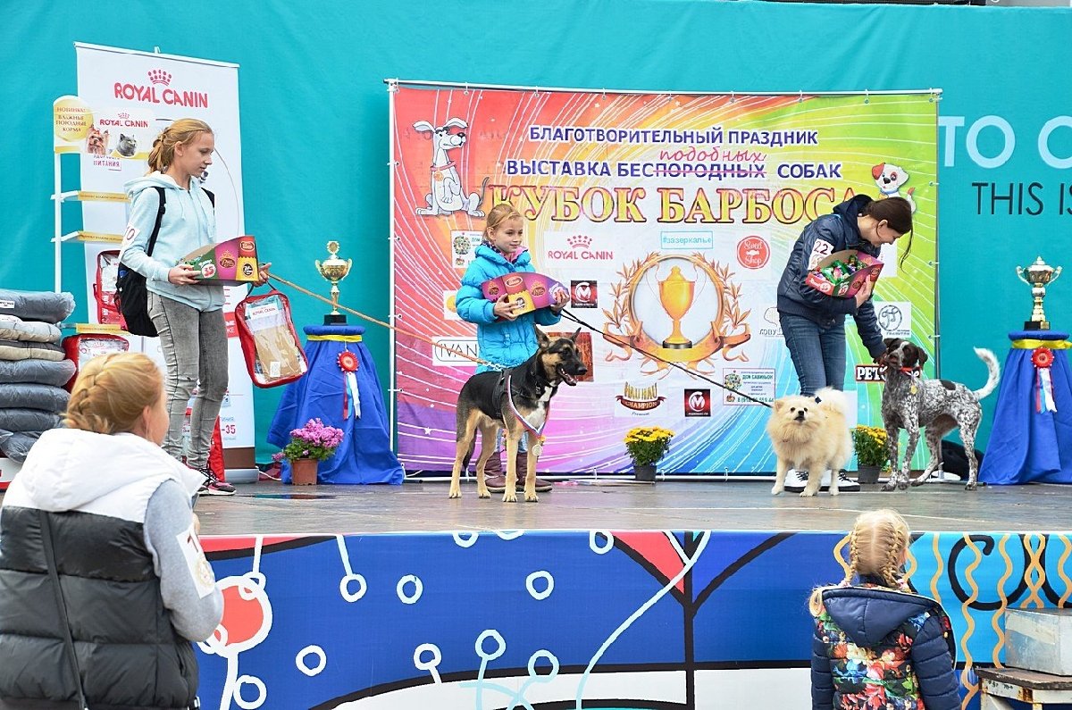 Выставка беспородных собак «Кубок Барбоса 2017»