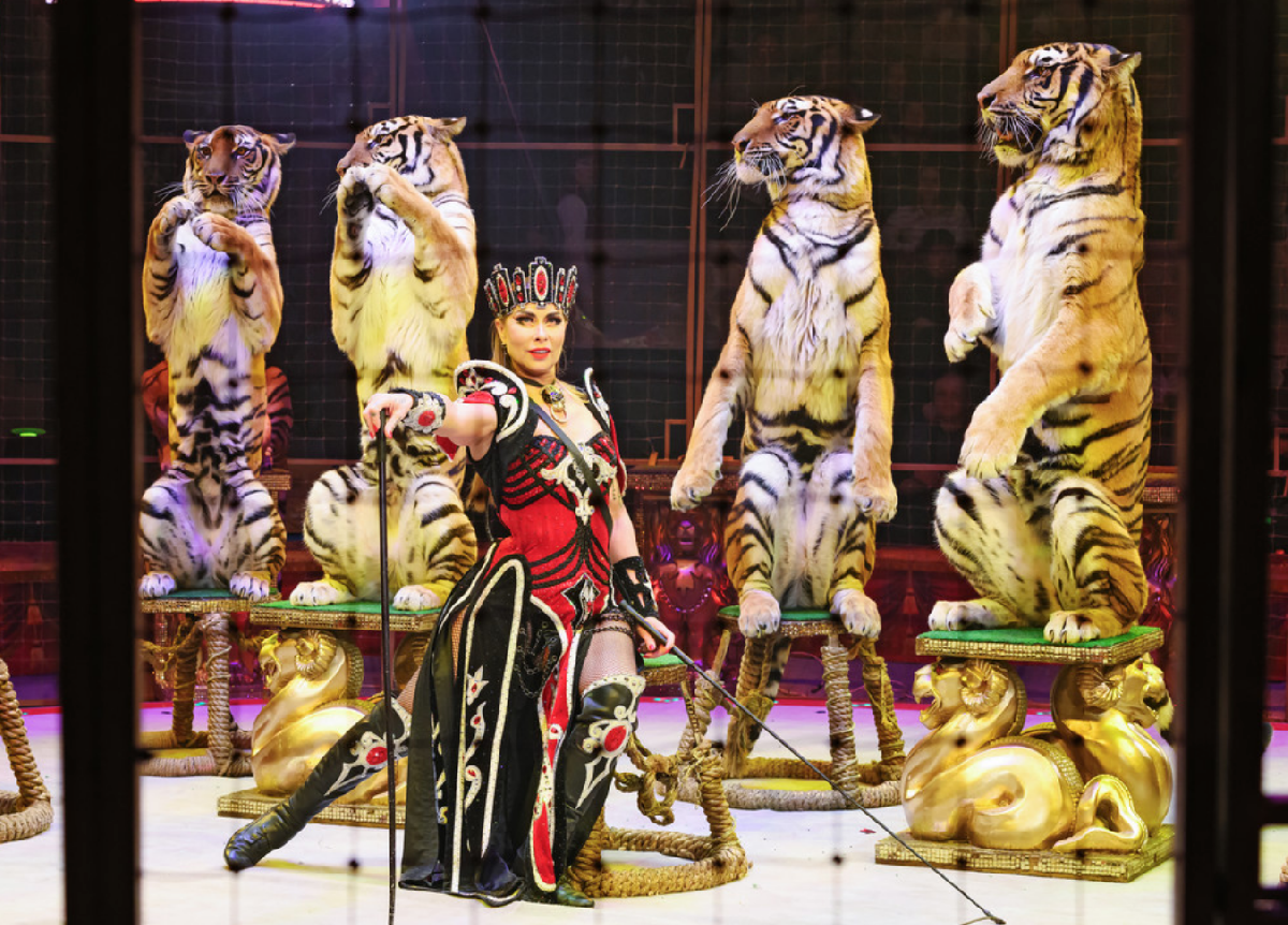 Фото: circus-sochi.ru